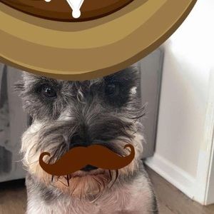 Meet your Posher, Quan